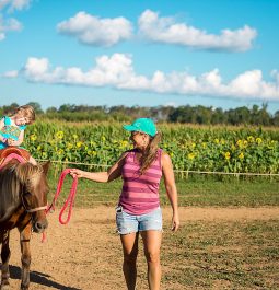 child riding pony with person leading it