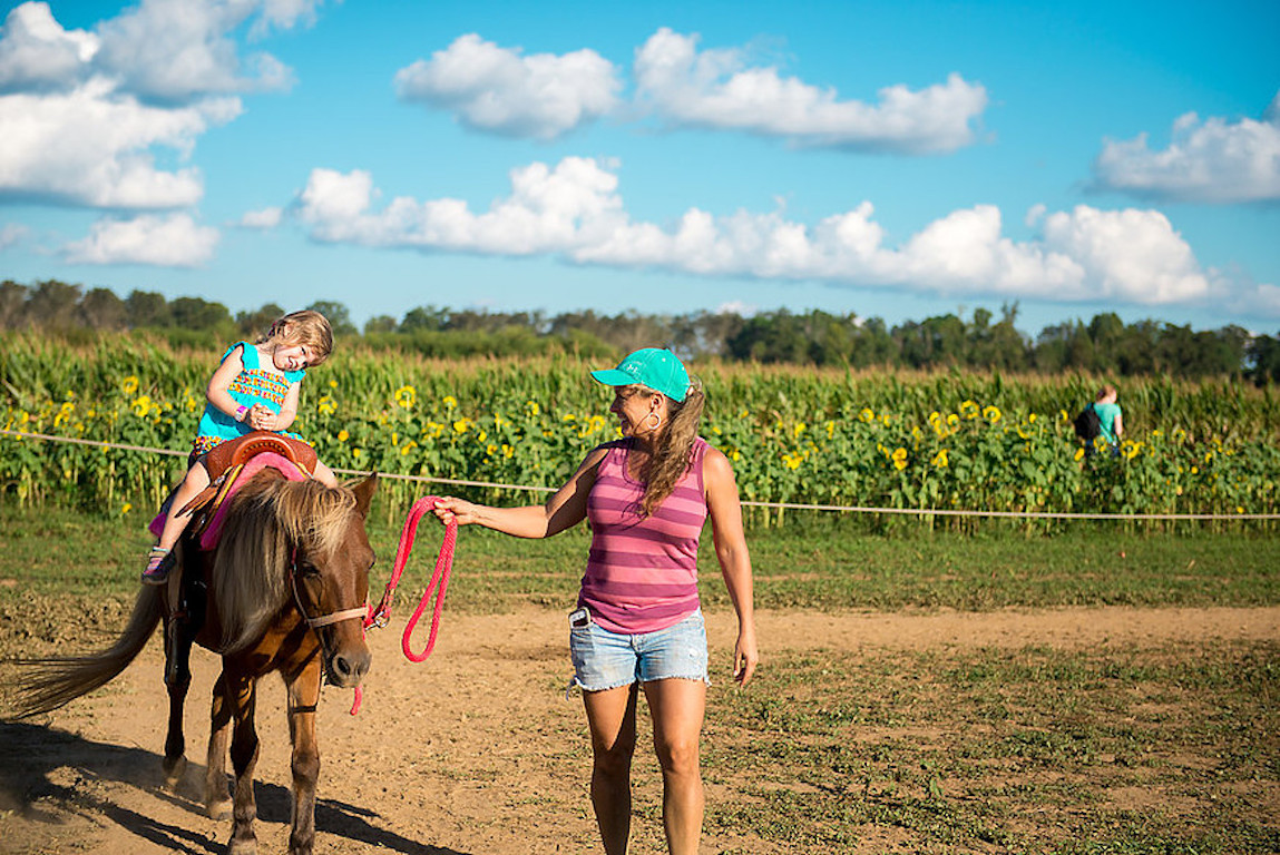 Sweet Season Farm, Milton