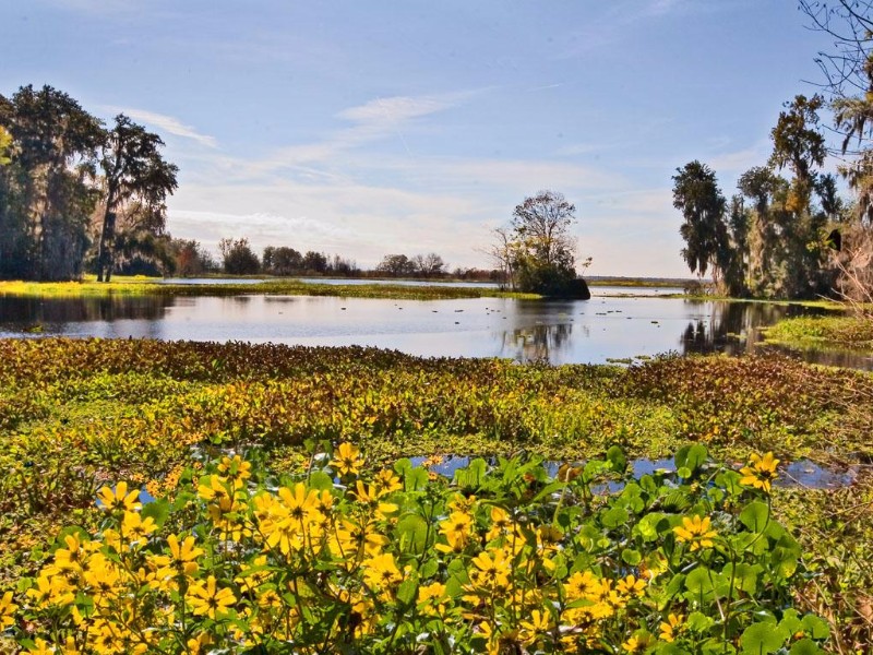 Paynes Prairie