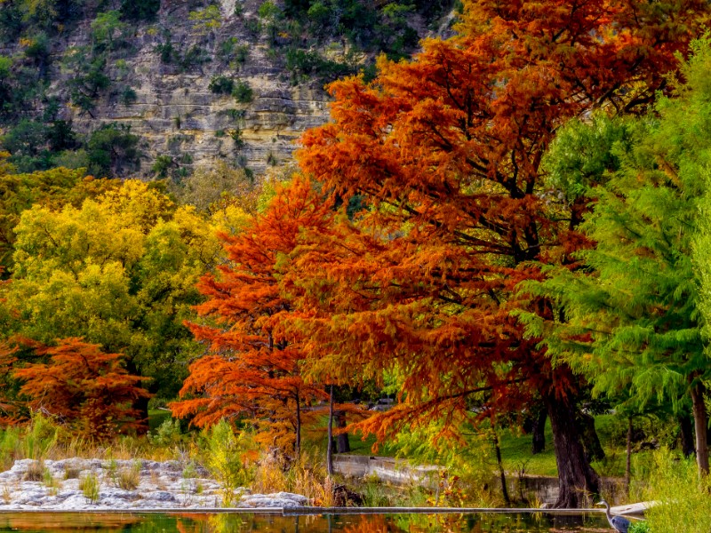 Garner State Park