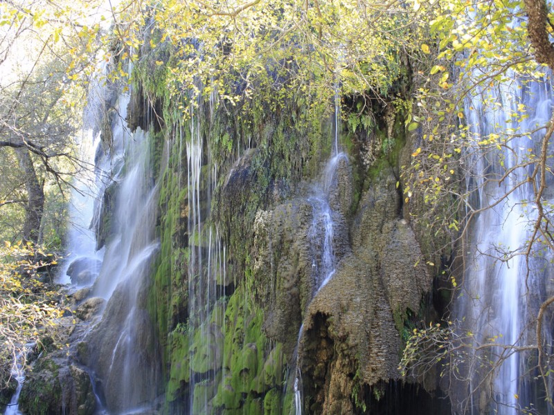 Gorman Falls