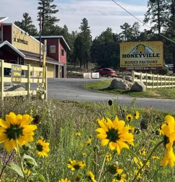 sunflowers with Honeyville in backdrop