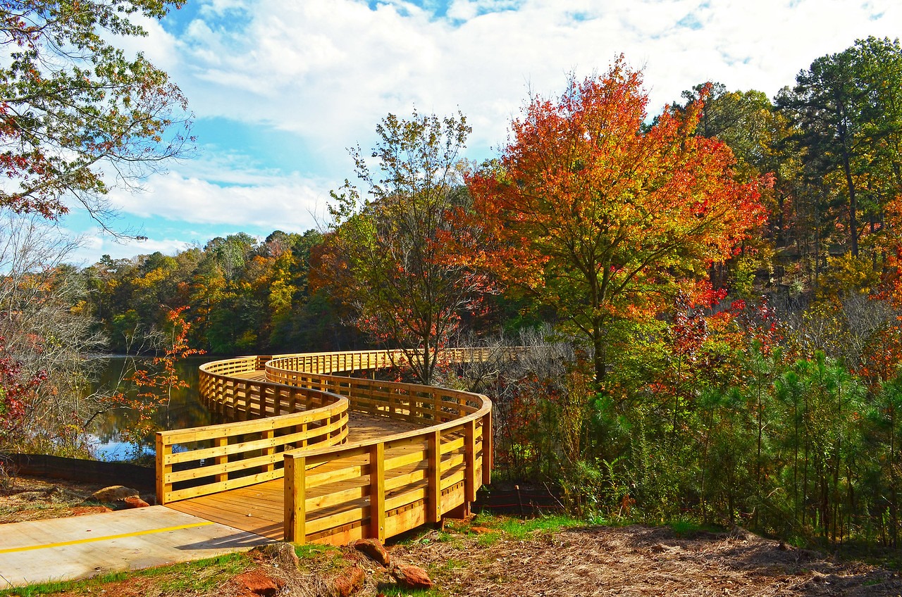 Panola Mountain State Park