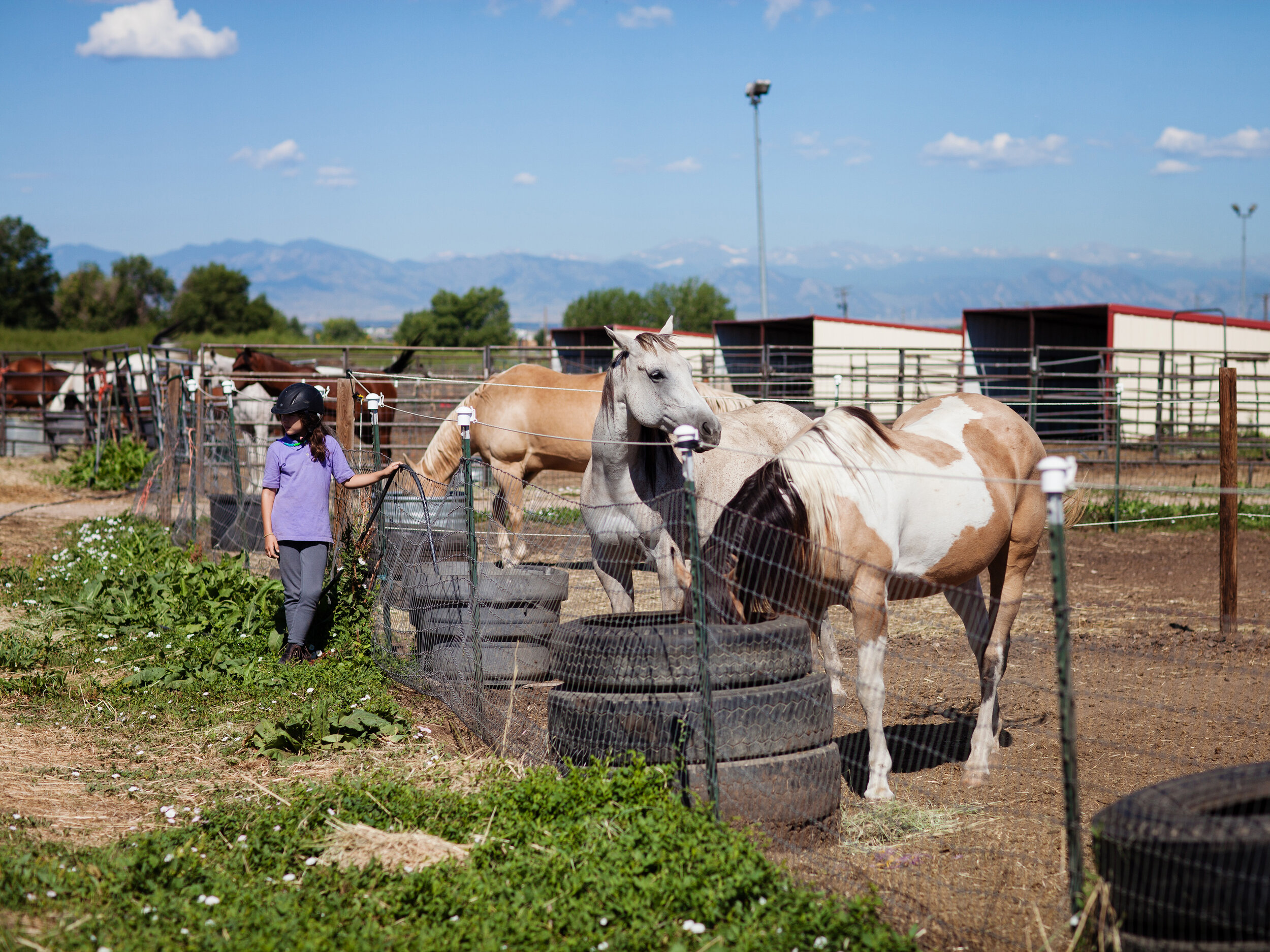 Urban Farm, Denver