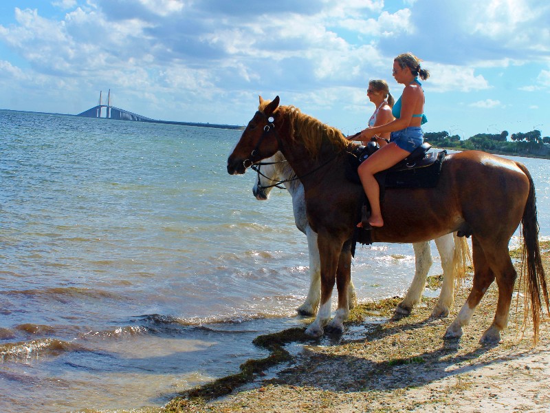 Cypress Breeze Farm Trail Riding, Pinellas Park