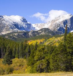 mountain with pine trees and snowy mountain peaks in distance