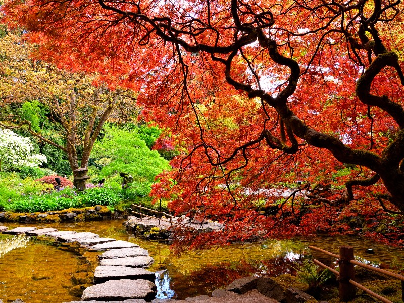 Butchart Gardens, Victoria, B.C. in the fall