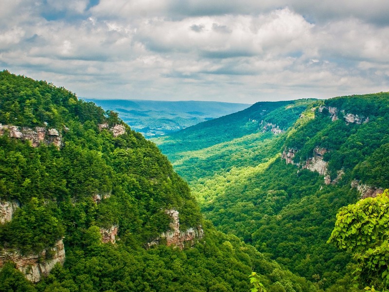 View over Cloudland Canyon State Park