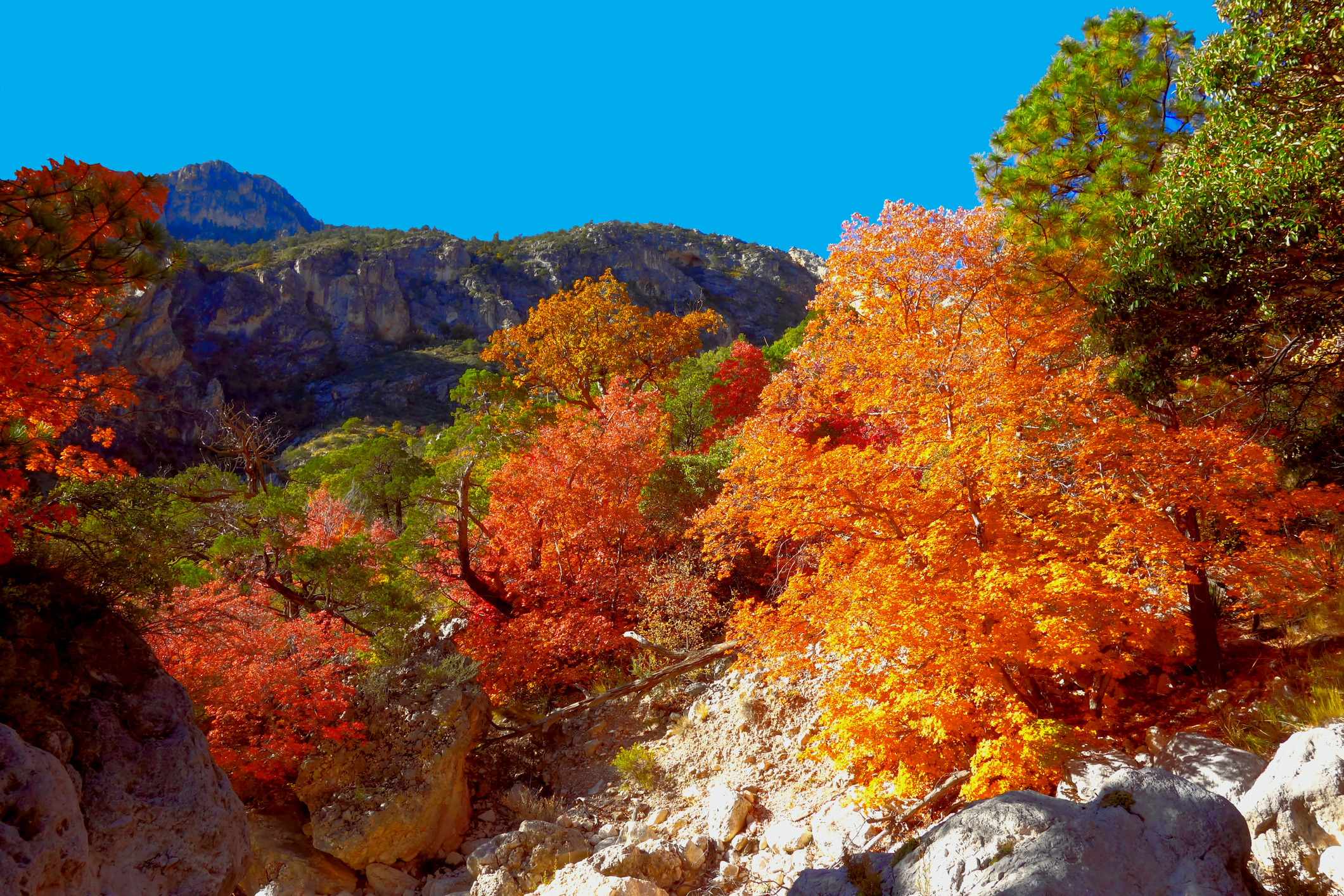 Guadalupe Mountains National Park