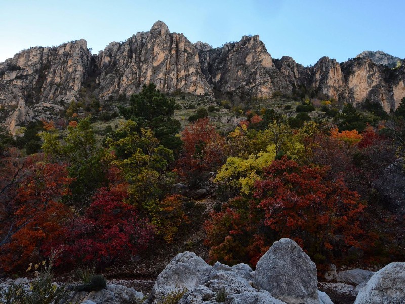 Fall at Guadalupe Mountains National Park