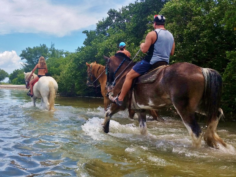 Cypress Breeze Farm Trail Riding, Pinellas Park