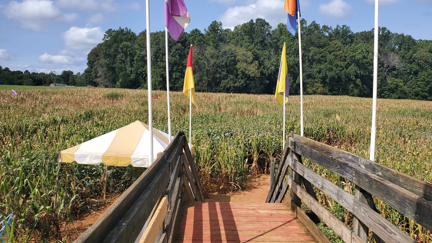 Rural Hill Amazing Maize Maze