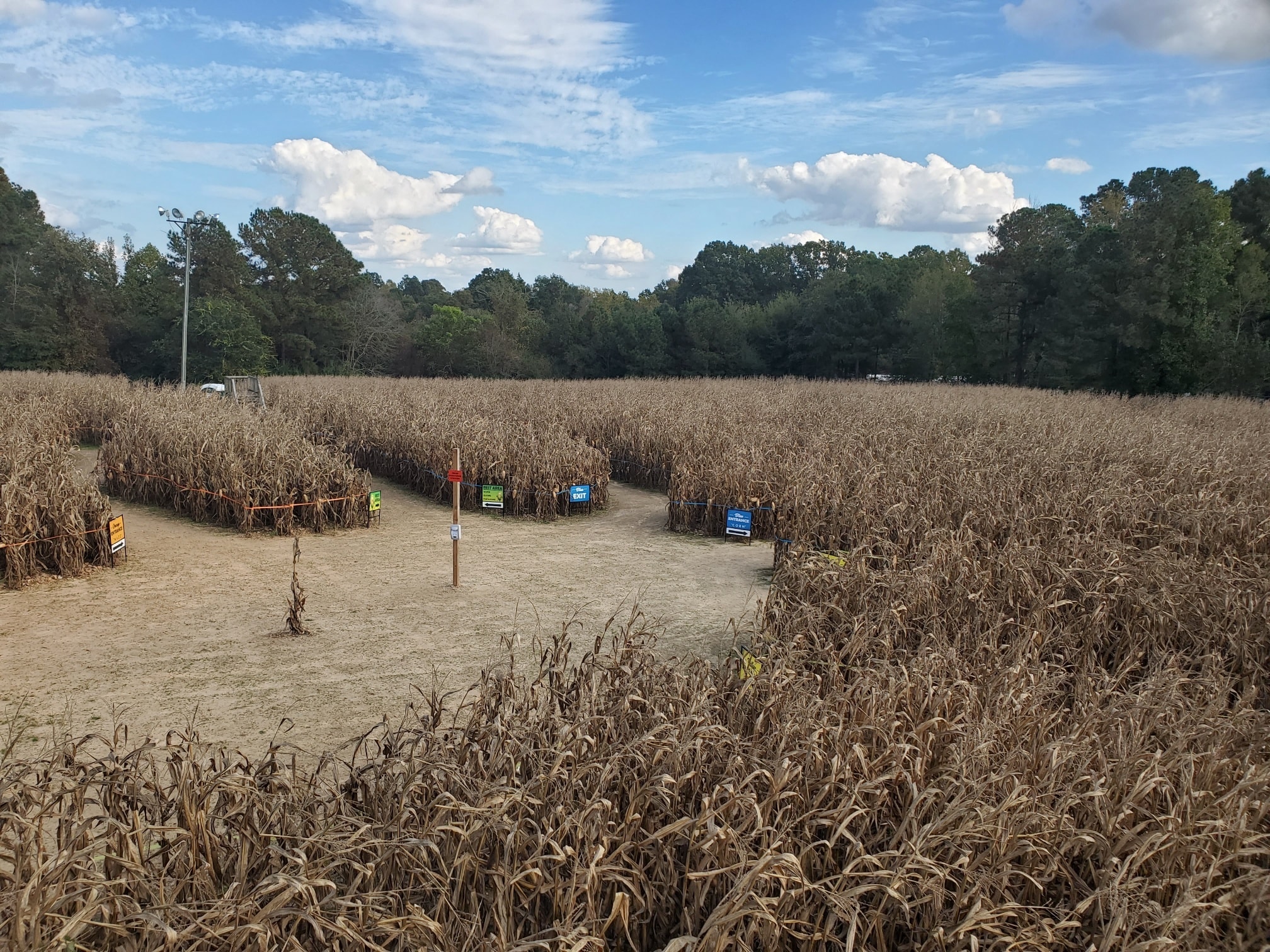 Ken's Korny Corn Maze