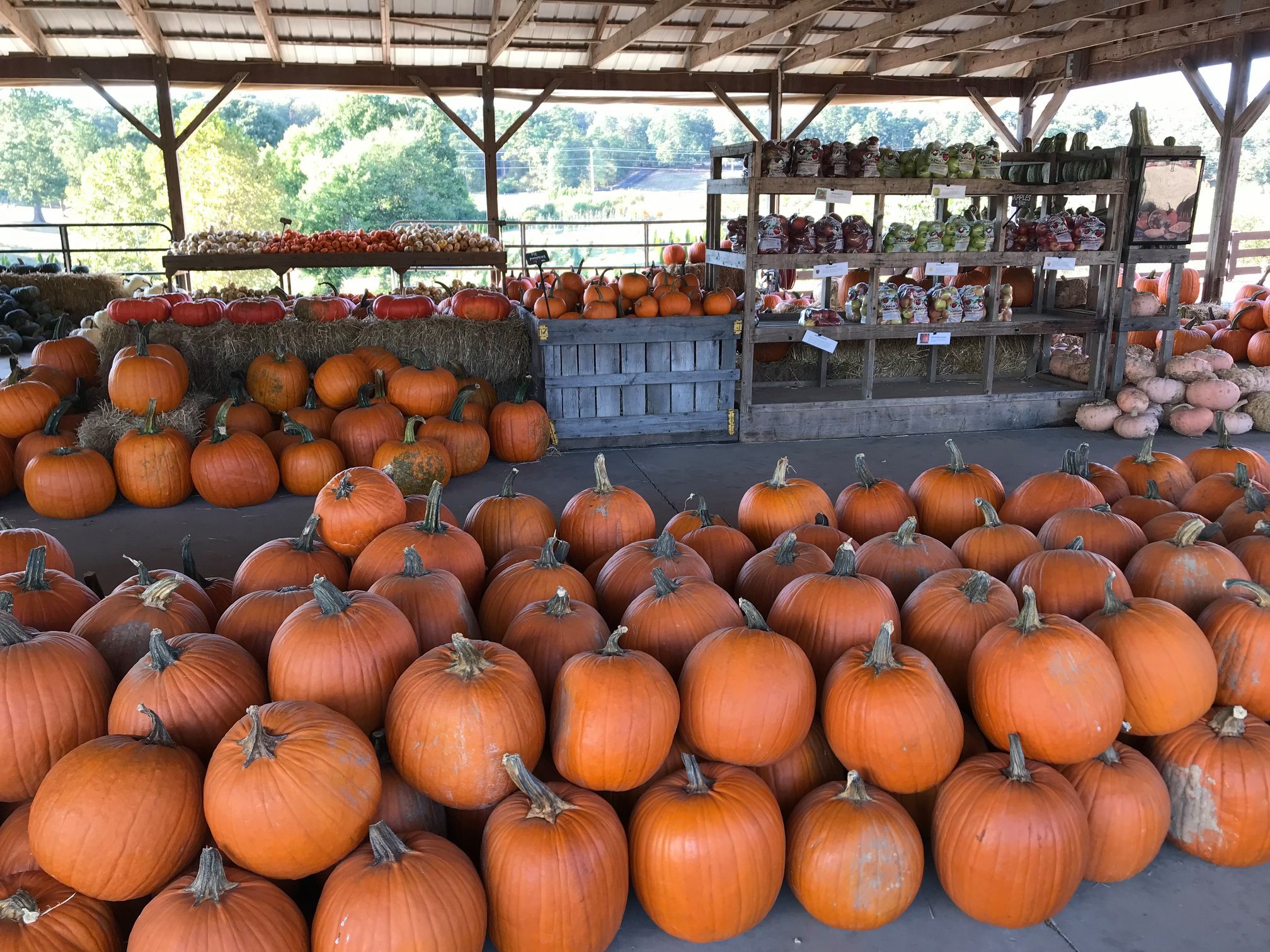 Kinsey Family Farm