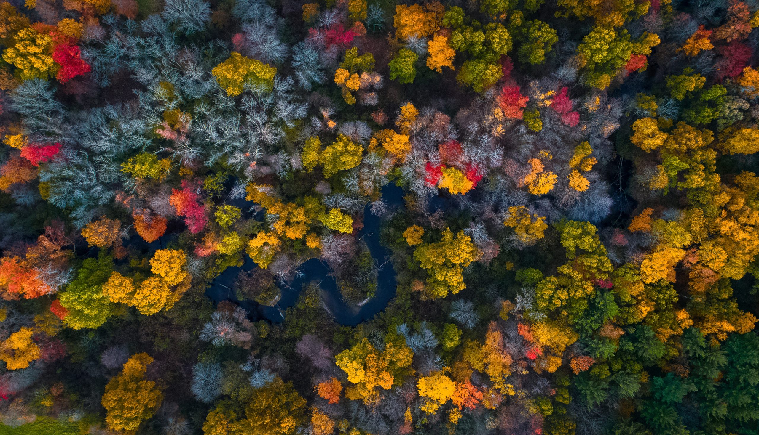 Fall foliage in Massachusetts