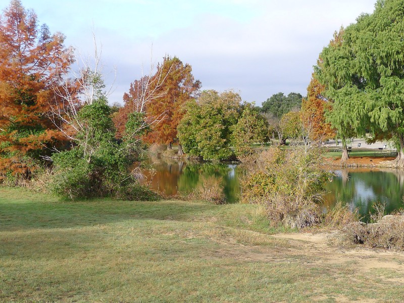 Fall Foliage at Blanco State Park