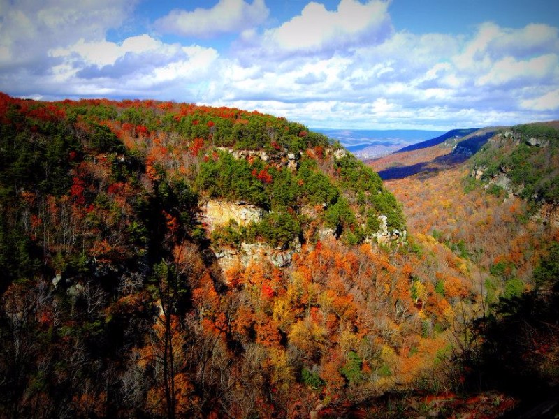 9 Most Beautiful Places To See Fall Foliage In Georgia Trips To Discover