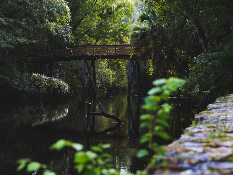 Hillsborough River State Park