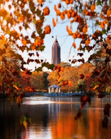 Autumn leaves in Piedmont Park