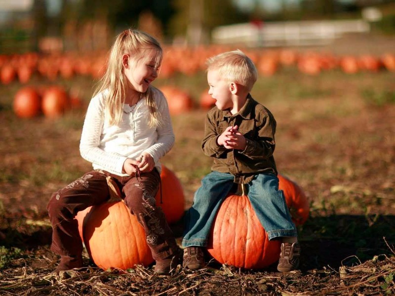 Poppell Farms