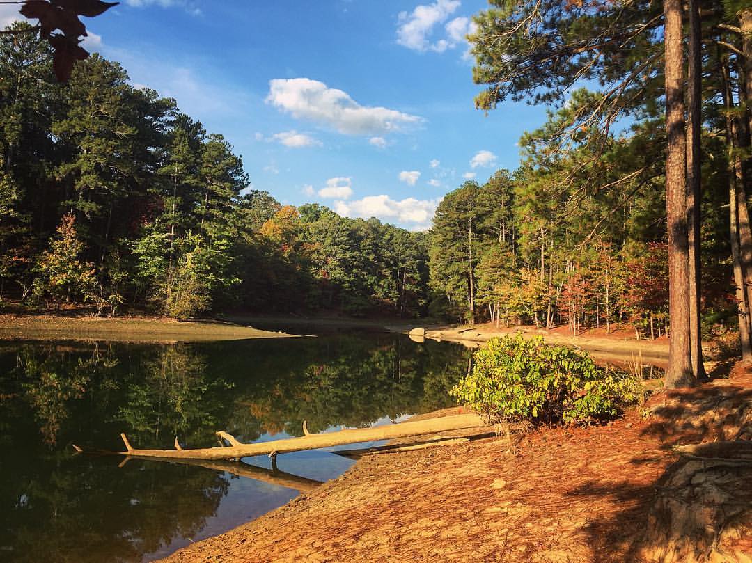 Red Top Mountain State Park