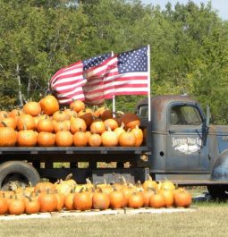 truck with pumpkins and flags flying