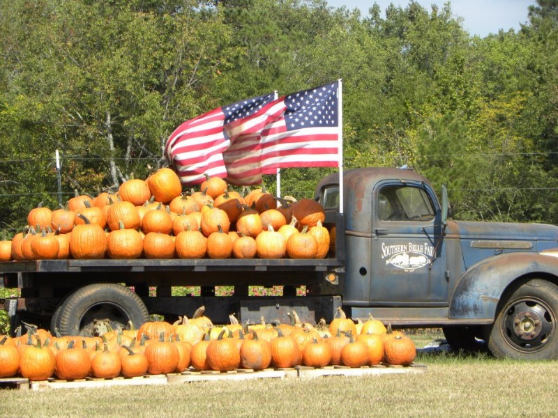 Southern Belle Farms, McDonough