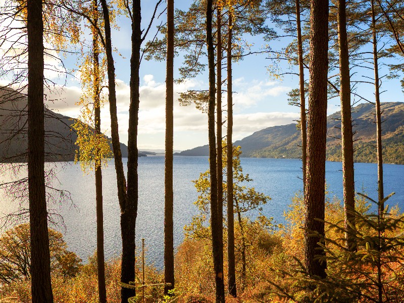 Loch Lomond