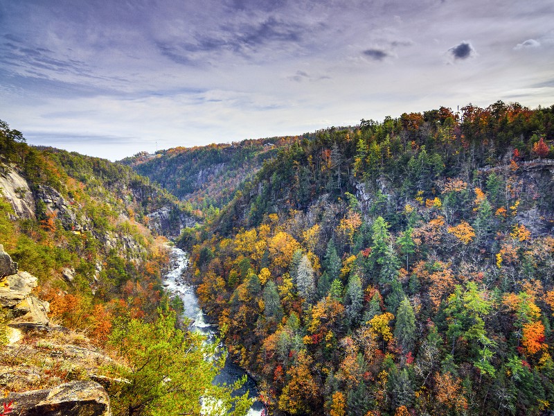 Tallulah Gorge and Falls