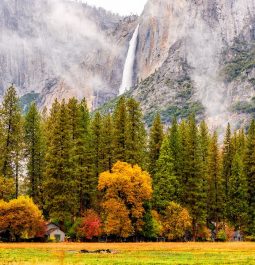 granite cliffs of Yosemite with pine trees and fall foliage in foreground