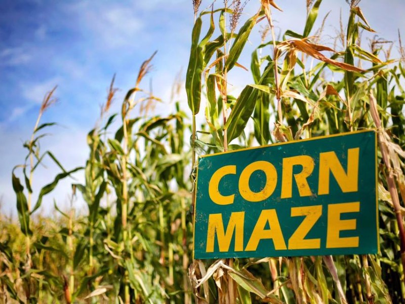 Corn maze sign at Dewberry Farm