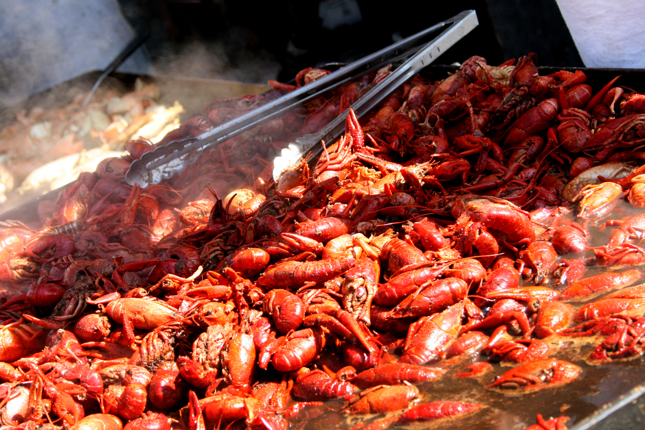 Pensacola Seafood Festival