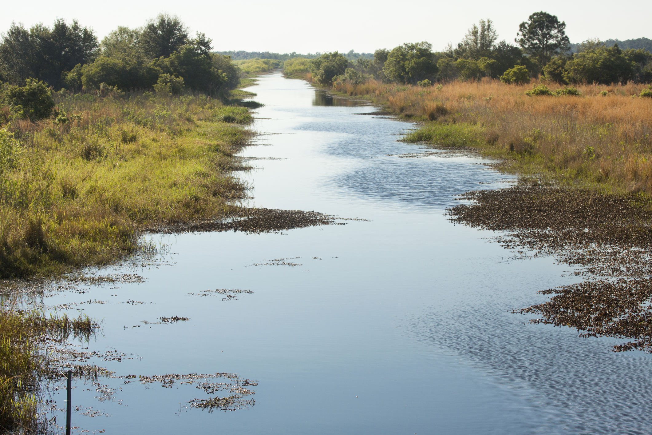 Lake Kissimmee State Park