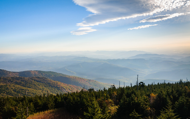 Mount Mitchell State Park