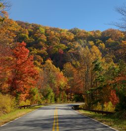 Cherohala Skyway in October