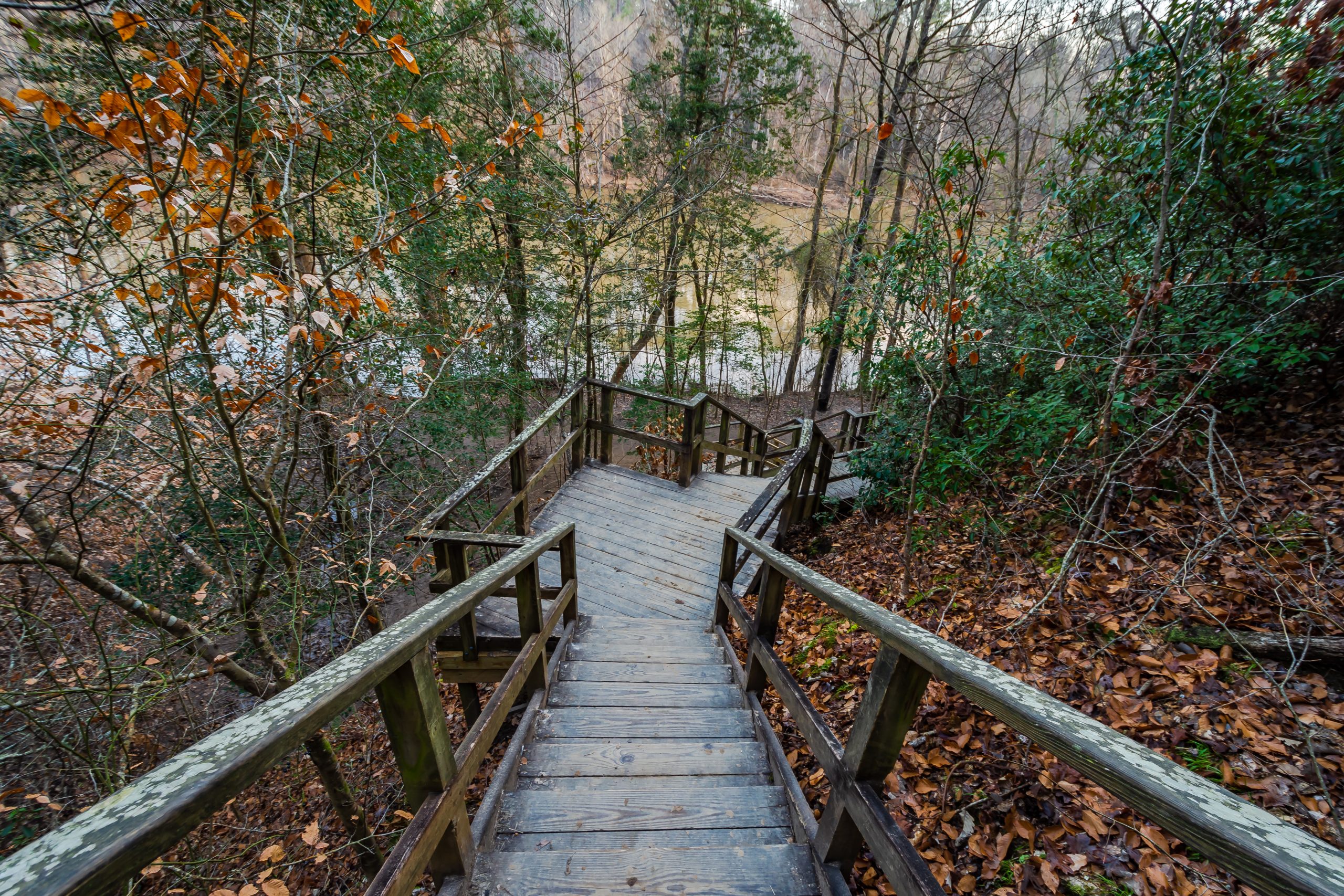 Raven Rock State Park