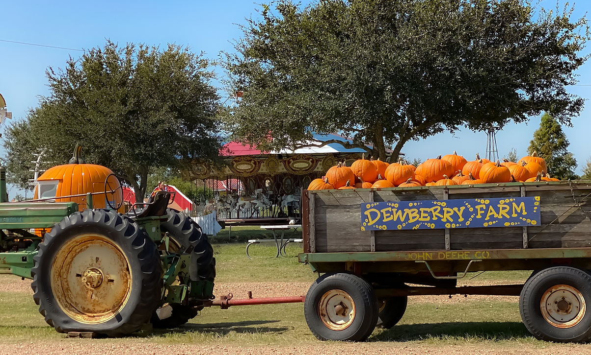 Dewberry Farm