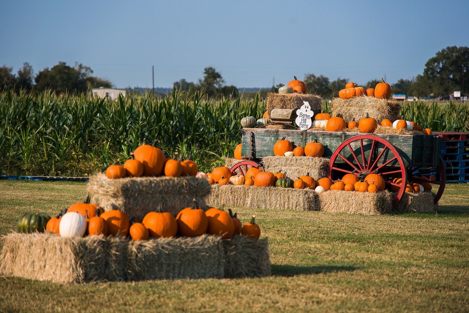 Barton Hills Farms