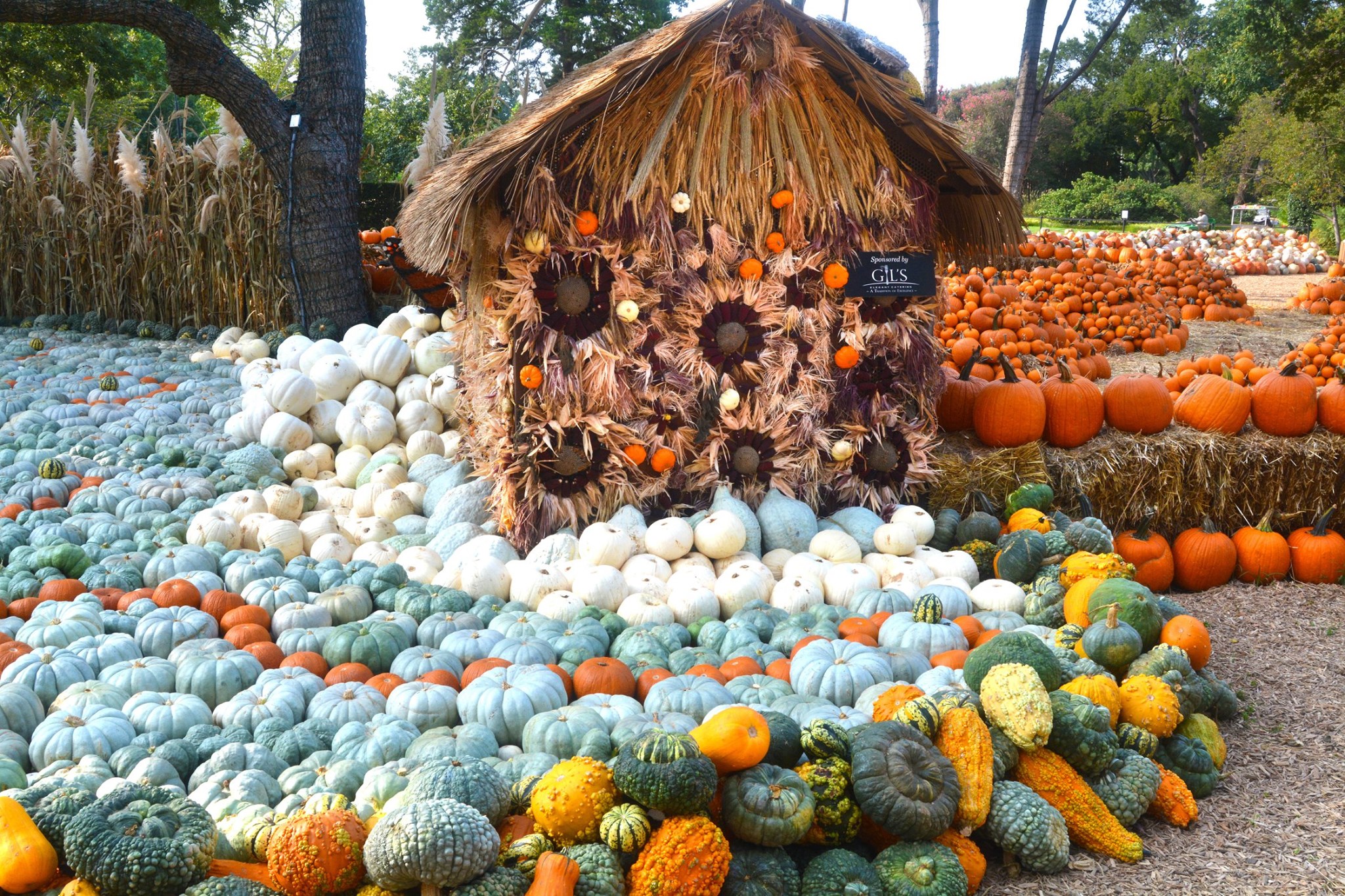 Dallas Arboretum and Botanical Garden