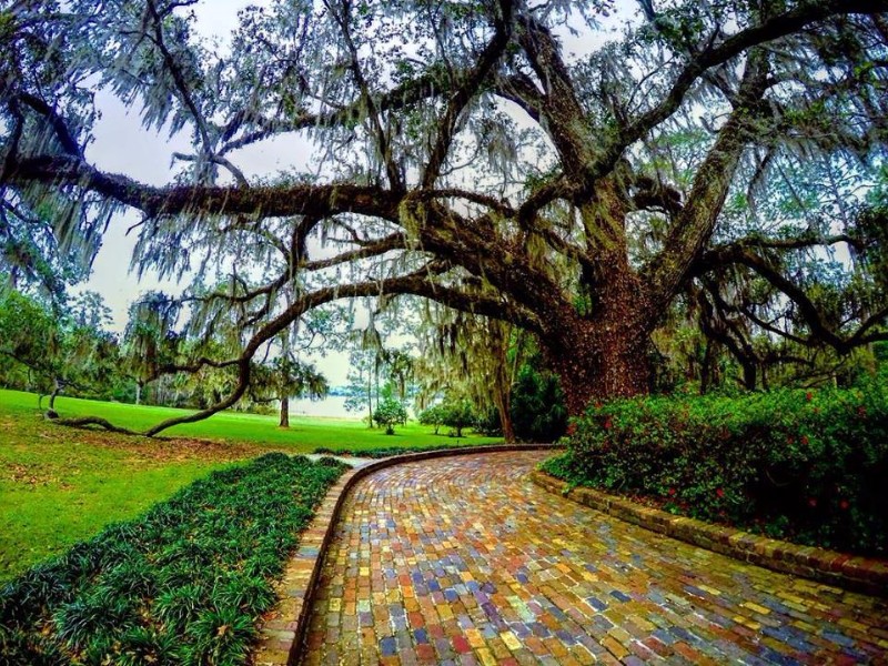 Alfred B. Maclay Gardens State Park