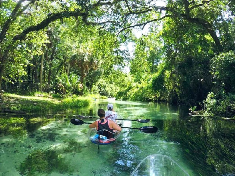 These Clear Kayaks Provide an Unforgettable Florida Adventure – Trips ...