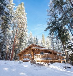 Log cabin tucked away in the middle of a snowy landscape with pine trees