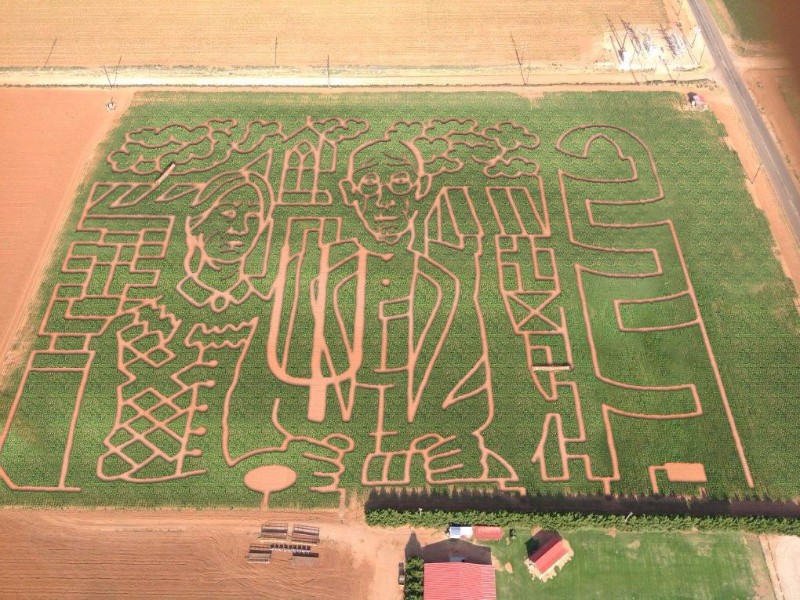 At’l Do Farms Corn Maize
