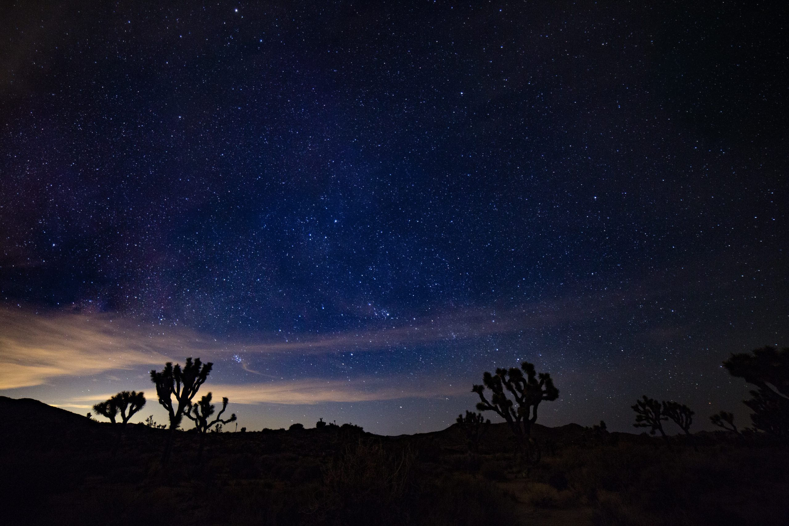 Stars over Joshua Tree National Park