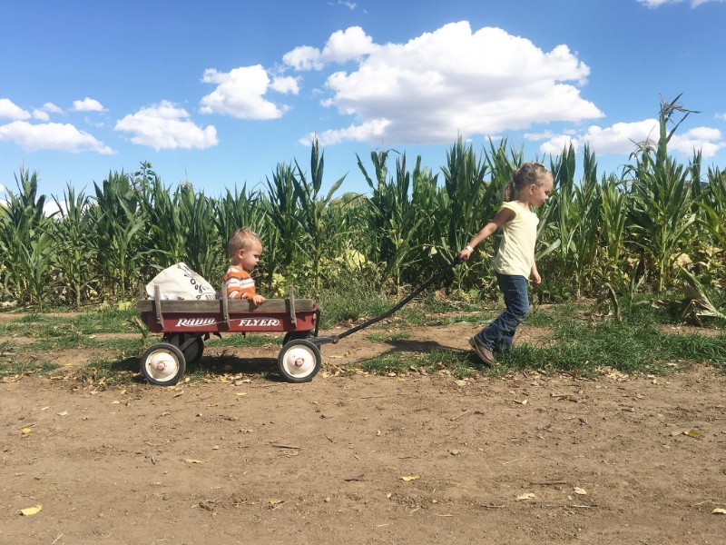 Mortimer Farms, Dewey