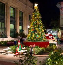 Large Christmas tree in front of government building