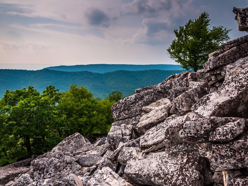 Duncan Knob George Washington National Forest, Virginia