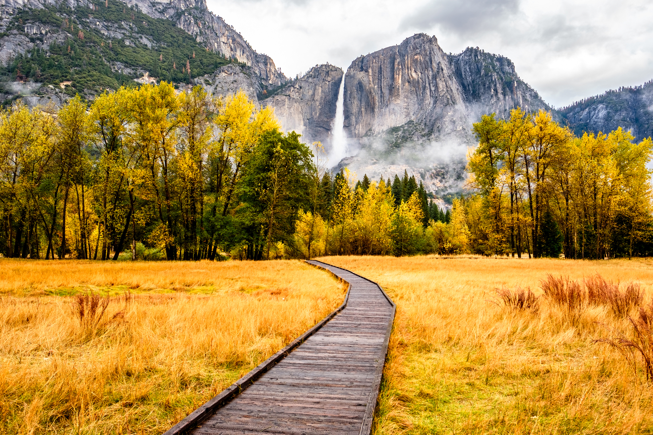 Yosemite National Park Valley