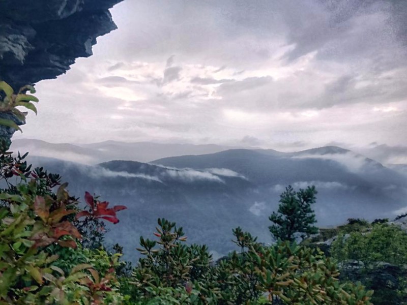 Linville Gorge is home to several rare species of plants.