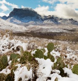 Desert landscape with meadows and small mountains in background with dusting of snow all over